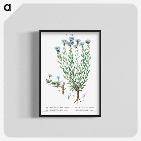 1-73_Treatise-on-Trees-and-Shrubs_blk-crop