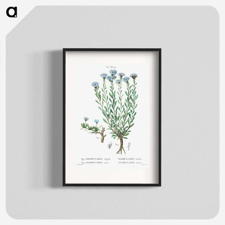 1-73_Treatise-on-Trees-and-Shrubs_blk