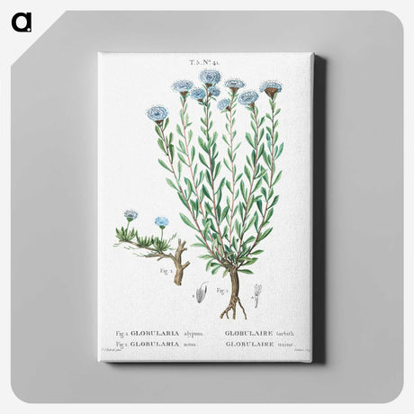 1-73_Treatise-on-Trees-and-Shrubs_canvas