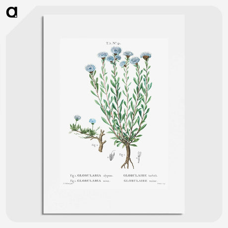 1-73_Treatise-on-Trees-and-Shrubs_picture