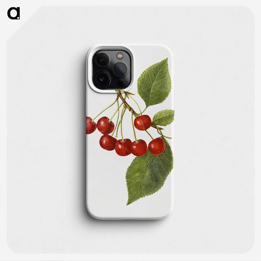 1-73_USDA-Watercolor-Fruit-Painting-Collection_phone