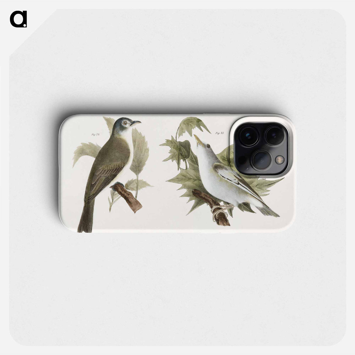 The Warblink Greenlet (Vireo gilvus)  The Red-eyed Greenlet (Vireo olivaceus) - ニューヨークの動物学 Phone Case.