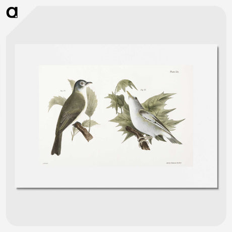 1-73_Zoology-of-New-York_picture