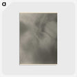 1-74_Alfred-Stieglitz_postcard