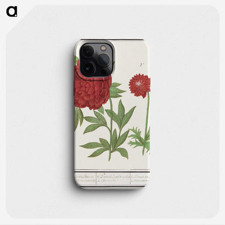 1-74_Anselmus-Boetius-de-Boodt_phone