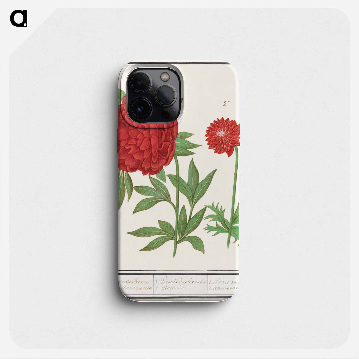 Peony, Paeonia and Anemone - アンセルムス ボエティウス デ ブート Phone Case.