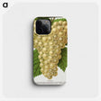 1-74_Botanical-Specimen-Plates_phone