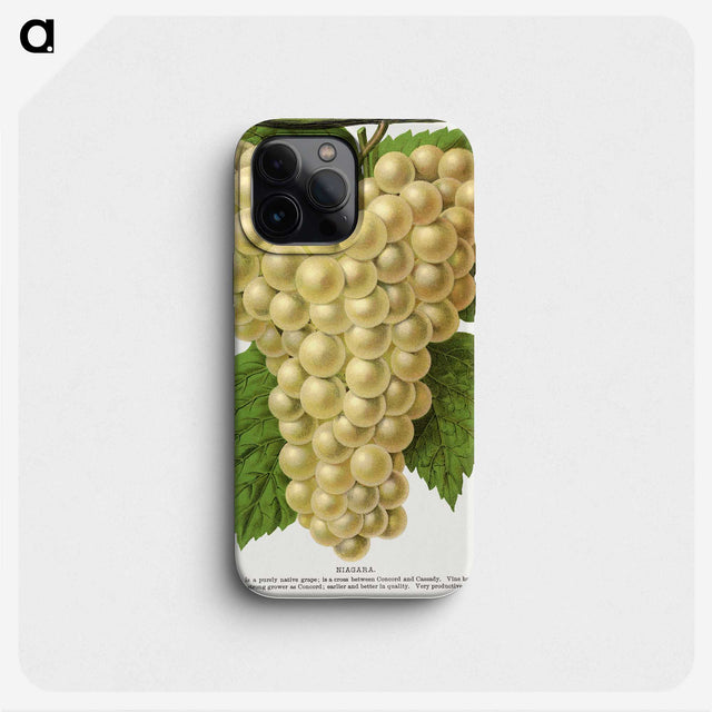 1-74_Botanical-Specimen-Plates_phone