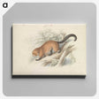 1-74_Charles-Hamilton-Smith_canvas