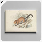 1-74_Charles-Hamilton-Smith_canvas