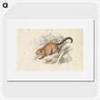 1-74_Charles-Hamilton-Smith_picture
