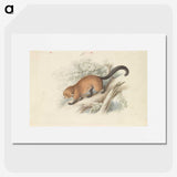 1-74_Charles-Hamilton-Smith_picture