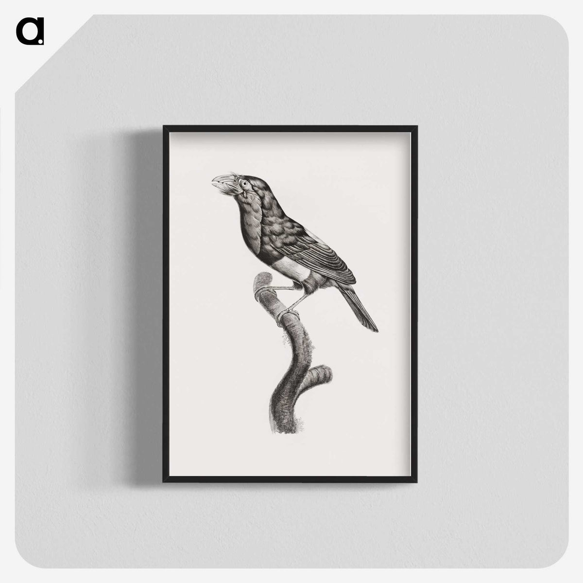 1-74_Des-Oiseaux-de-Paradis_blk-crop