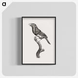 1-74_Des-Oiseaux-de-Paradis_blk-crop