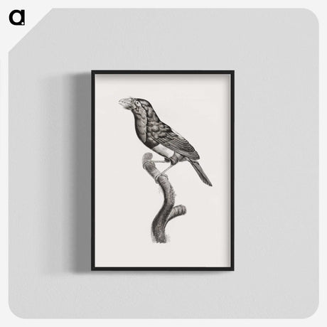 1-74_Des-Oiseaux-de-Paradis_blk-crop