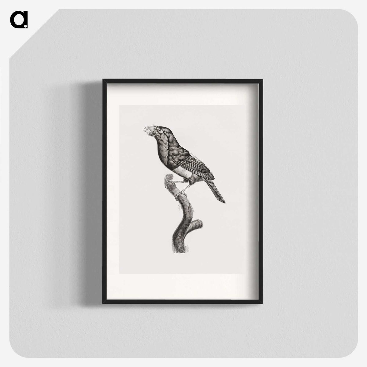 1-74_Des-Oiseaux-de-Paradis_blk