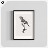 1-74_Des-Oiseaux-de-Paradis_blk
