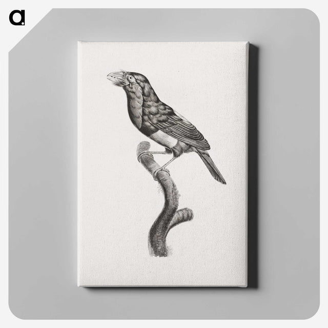 1-74_Des-Oiseaux-de-Paradis_canvas