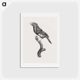 1-74_Des-Oiseaux-de-Paradis_hagaki