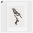1-74_Des-Oiseaux-de-Paradis_picture