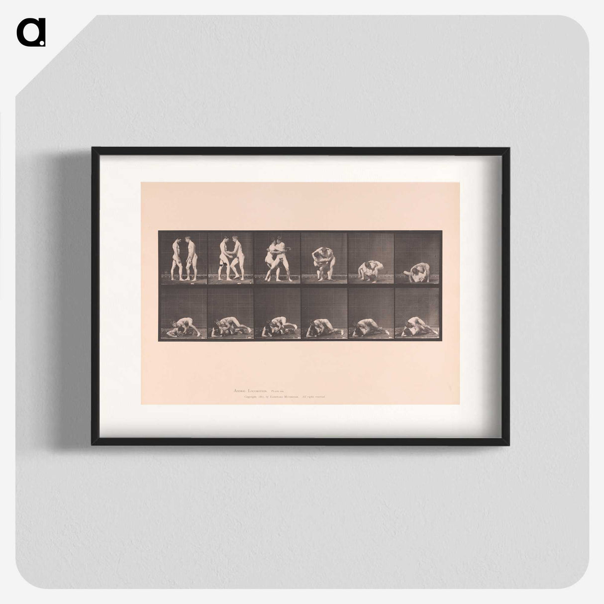1-74_Eadweard-Muybridge_blk