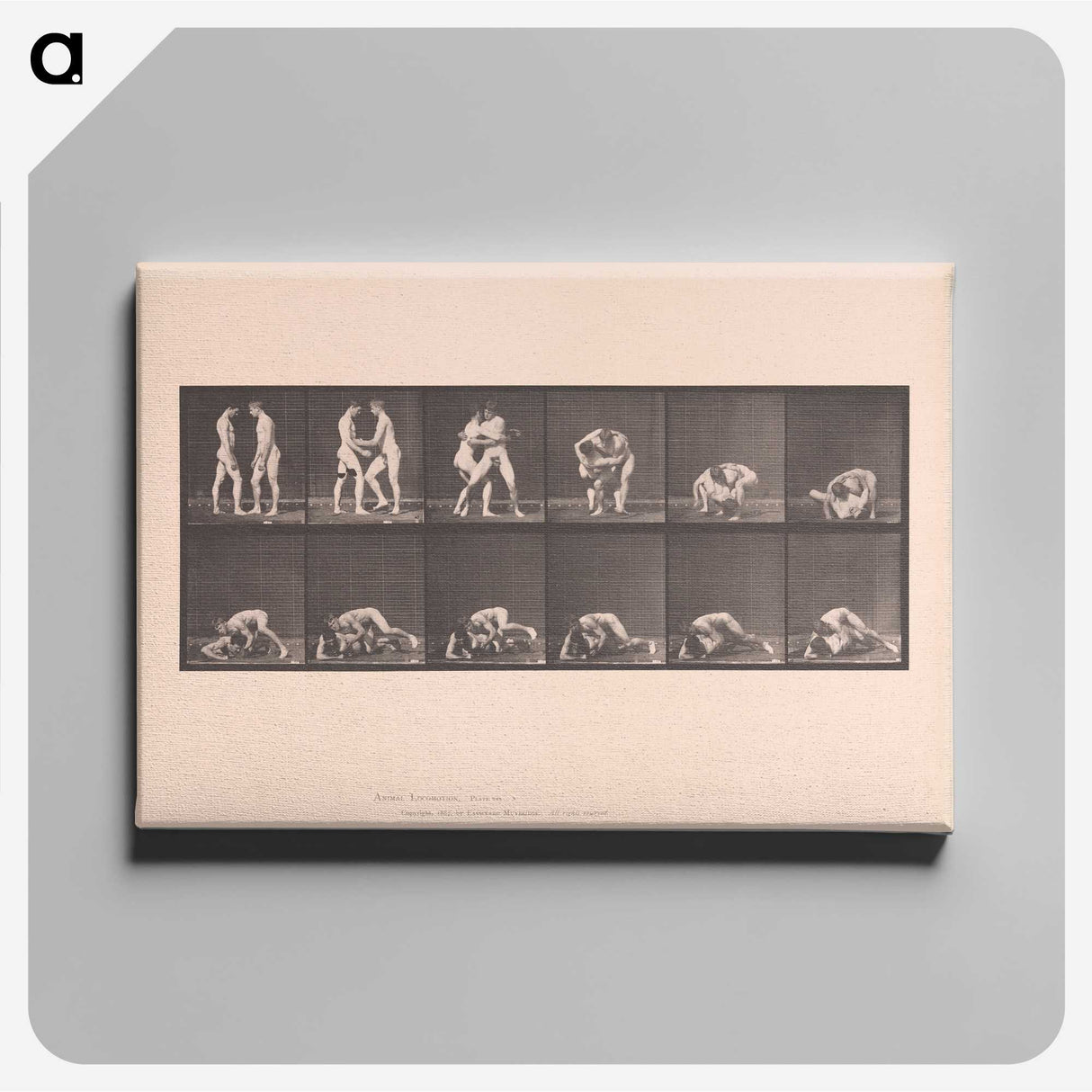 1-74_Eadweard-Muybridge_canvas
