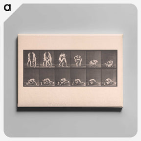 1-74_Eadweard-Muybridge_canvas