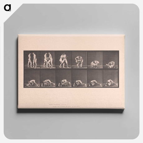 1-74_Eadweard-Muybridge_canvas