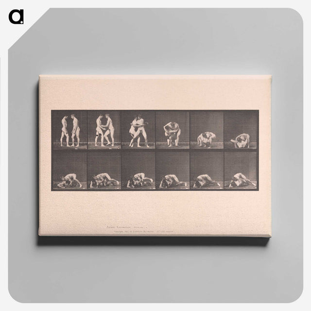 1-74_Eadweard-Muybridge_canvas