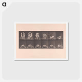 アートポストカード-Wrestling Figures
 - エドワード マイブリッジ Postcard.