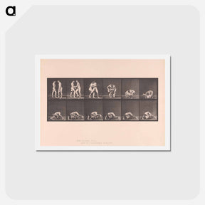 アートポストカード-Wrestling Figures
 - エドワード マイブリッジ Postcard.