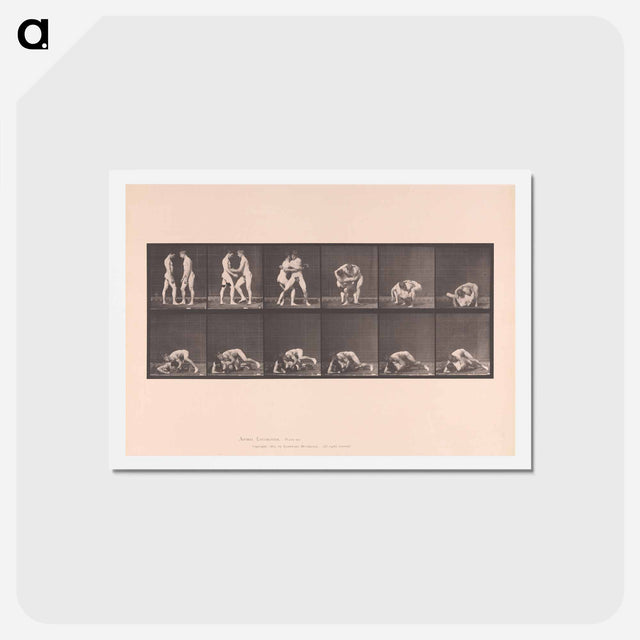 アートポストカード-Wrestling Figures
 - エドワード マイブリッジ Postcard.