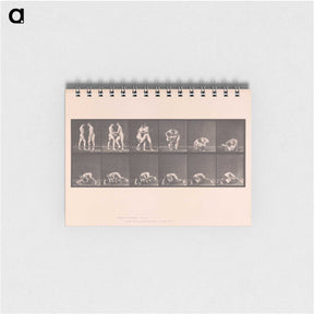 1-74_Eadweard-Muybridge_memo