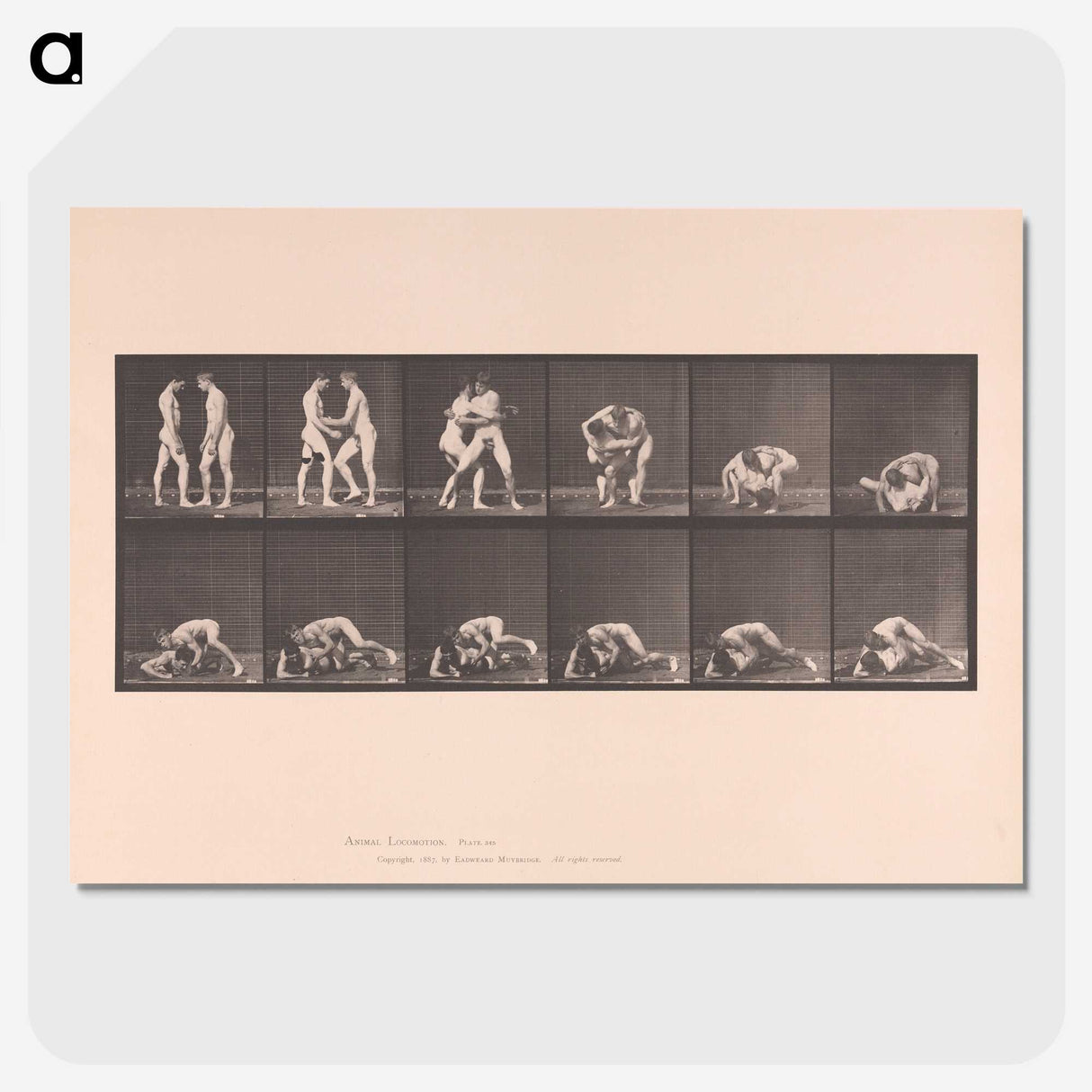 1-74_Eadweard-Muybridge_picture-crop