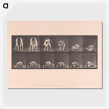 1-74_Eadweard-Muybridge_picture-crop