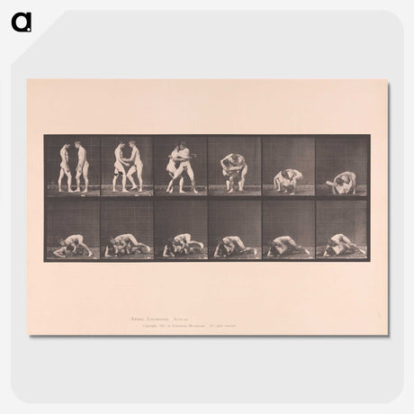 1-74_Eadweard-Muybridge_picture-crop
