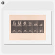 1-74_Eadweard-Muybridge_picture