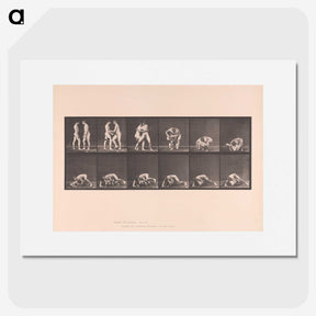 1-74_Eadweard-Muybridge_picture