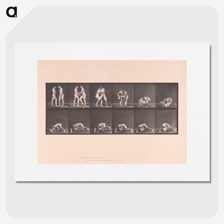 1-74_Eadweard-Muybridge_picture
