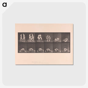 1-74_Eadweard-Muybridge_postcard