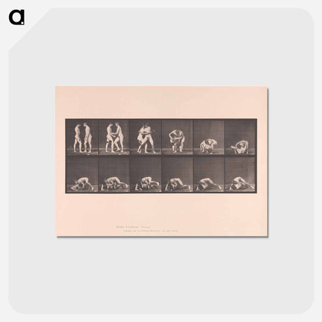 アートポストカード-Wrestling Figures
 - エドワード マイブリッジ Postcard.