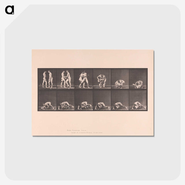 1-74_Eadweard-Muybridge_postcard