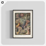 1-74_Ernst-Haeckel_blk-crop