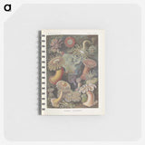 1-74_Ernst-Haeckel_memo