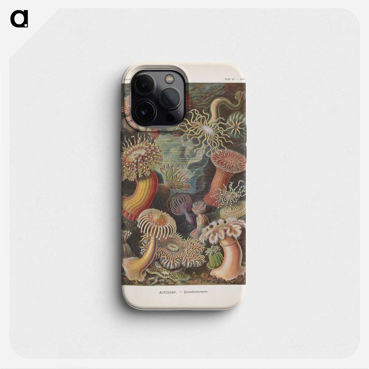Marine life illustration - エルンスト ヘッケル Phone Case.