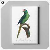 1-74_Francois-Levaillant_canvas