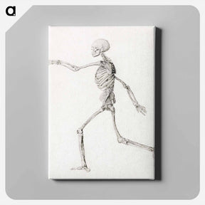 アートパネル-Running Skeleton
 - ジョージ スタッブス Canvas.