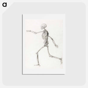 アートポストカード-Running Skeleton
 - ジョージ スタッブス Postcard.