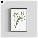 1-74_Histoire-des-Plantes-Grasses_blk-crop