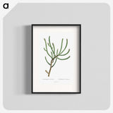 1-74_Histoire-des-Plantes-Grasses_blk